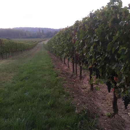 Chateau Le Noble Winery Near St Emilion Saint-Germain-du-Puch Екстериор снимка